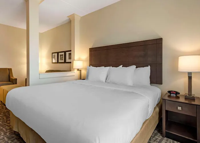 Comfort Inn & Suites Pittsburgh-Northshore